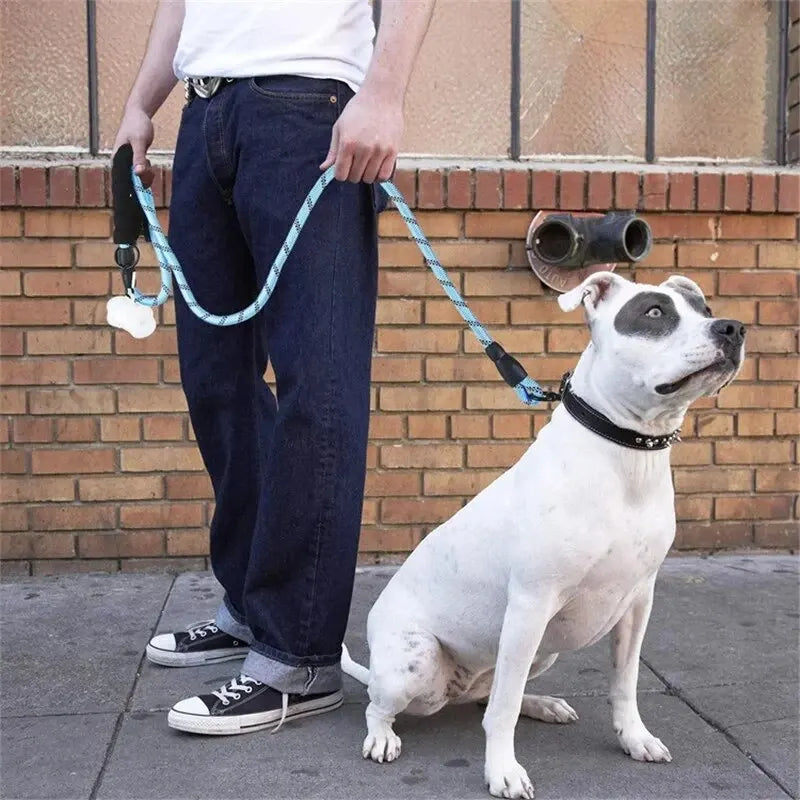 Reflective nylon dog lead with padded handle – photo 6