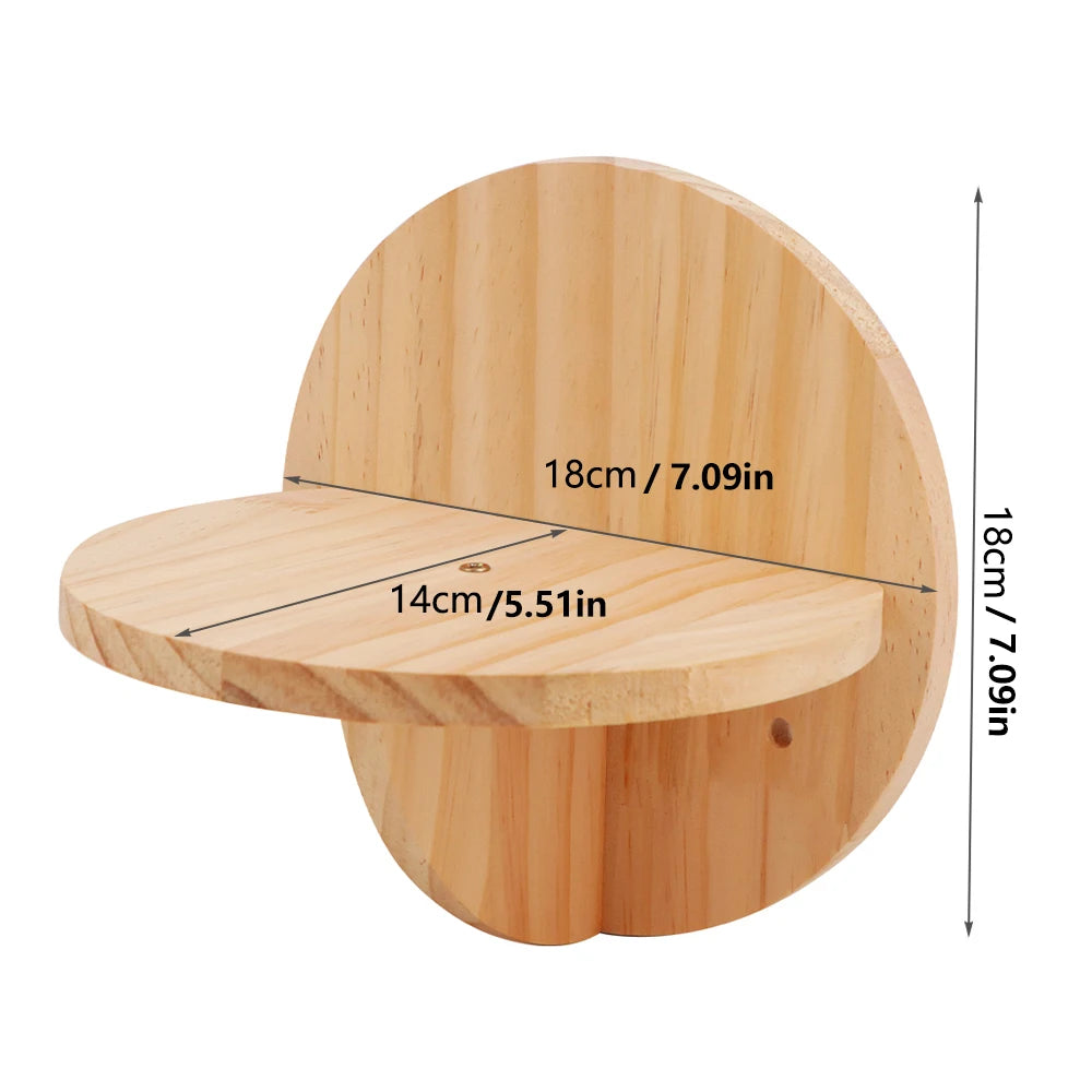 Wall-Mounted Pine Cat Shelves & Perches