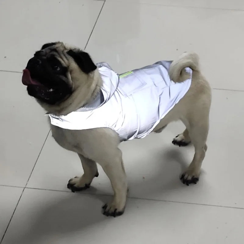 Dog wearing a reflective hooded raincoat on a rainy walk – photo 12