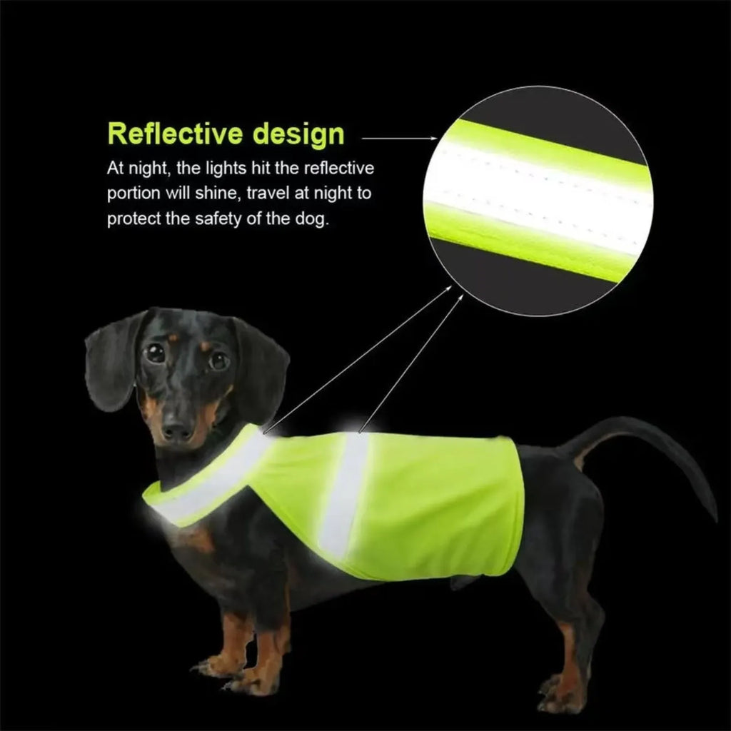 Dog wearing a reflective high-visibility vest