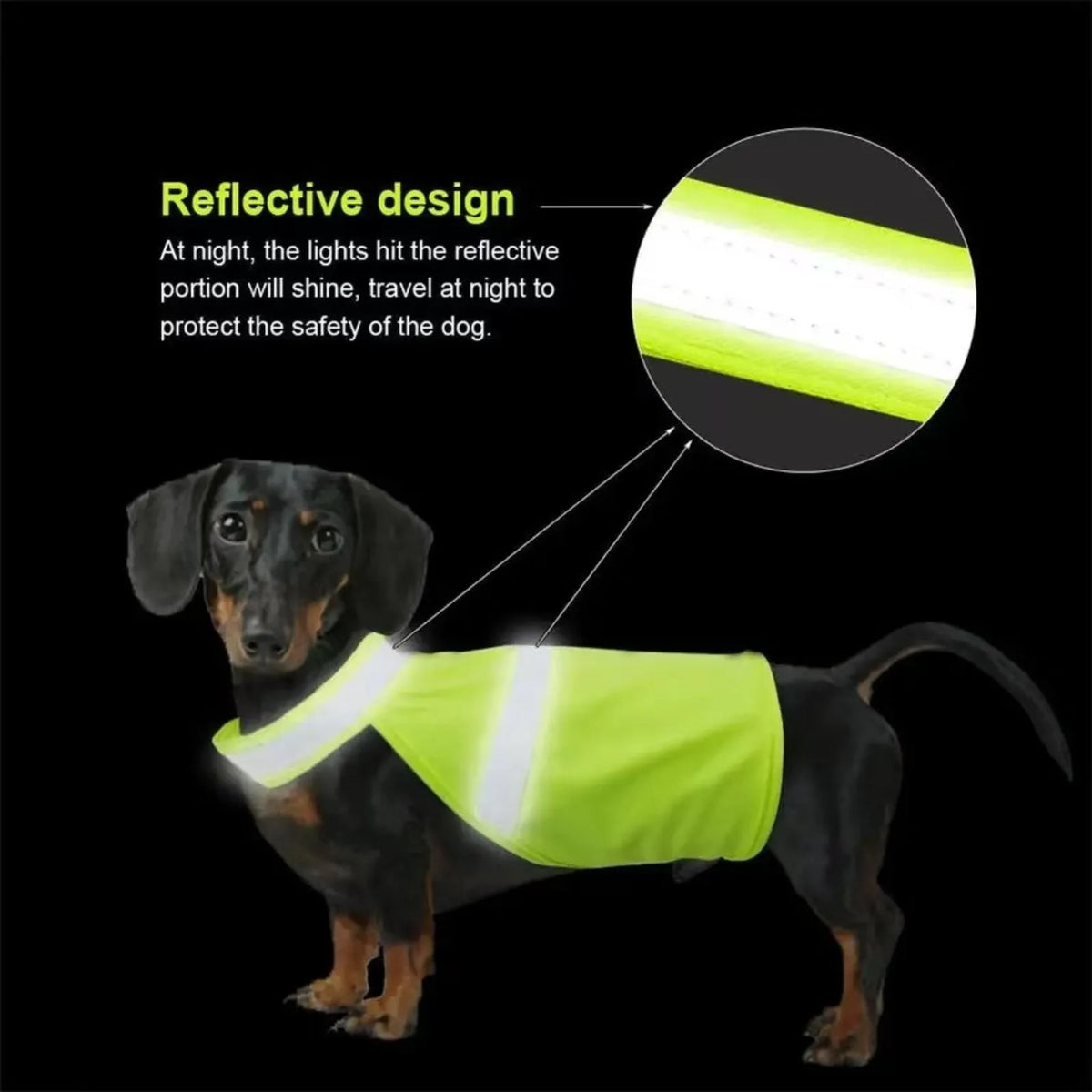 Dog wearing a reflective high-visibility vest