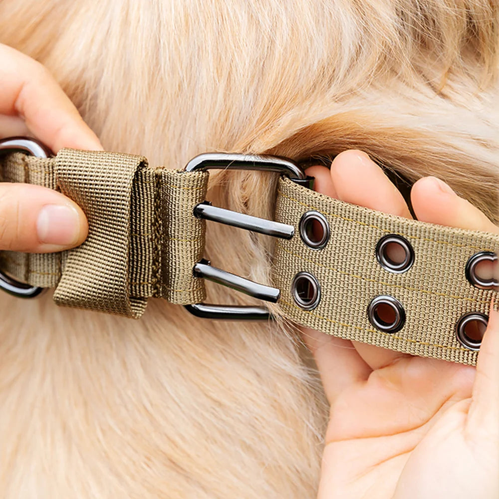 Military-style nylon dog collar with metal buckle and D-ring – photo 3