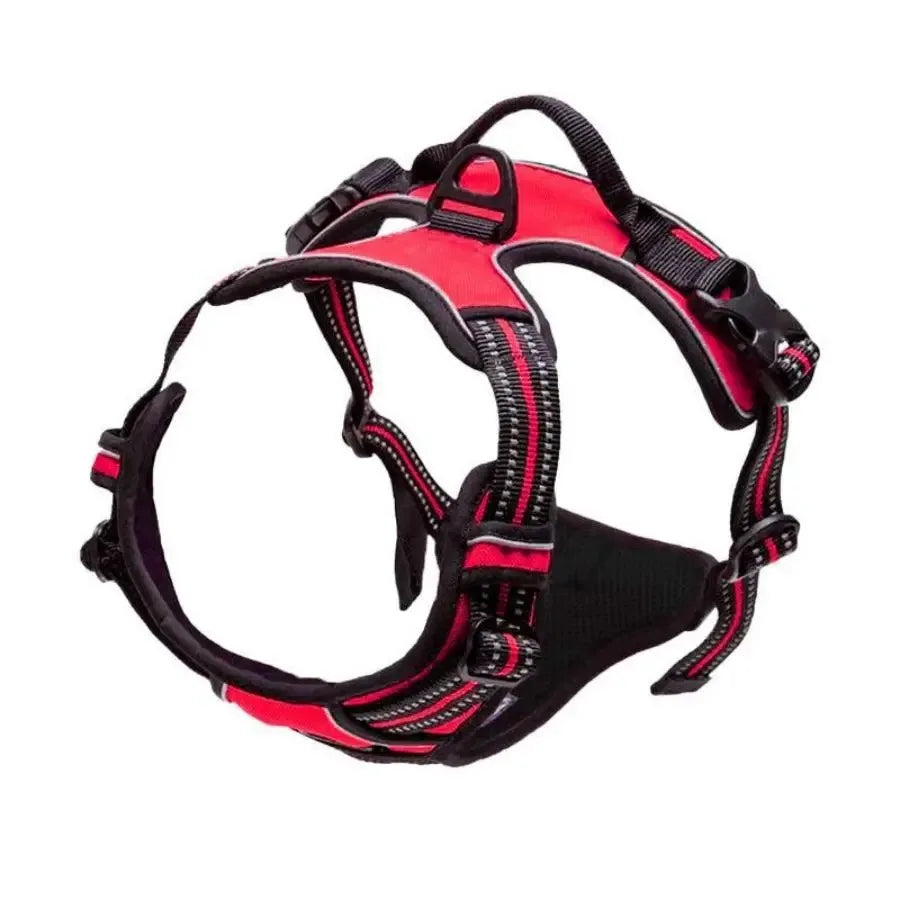 Vest Dog Harness in Bright Colours