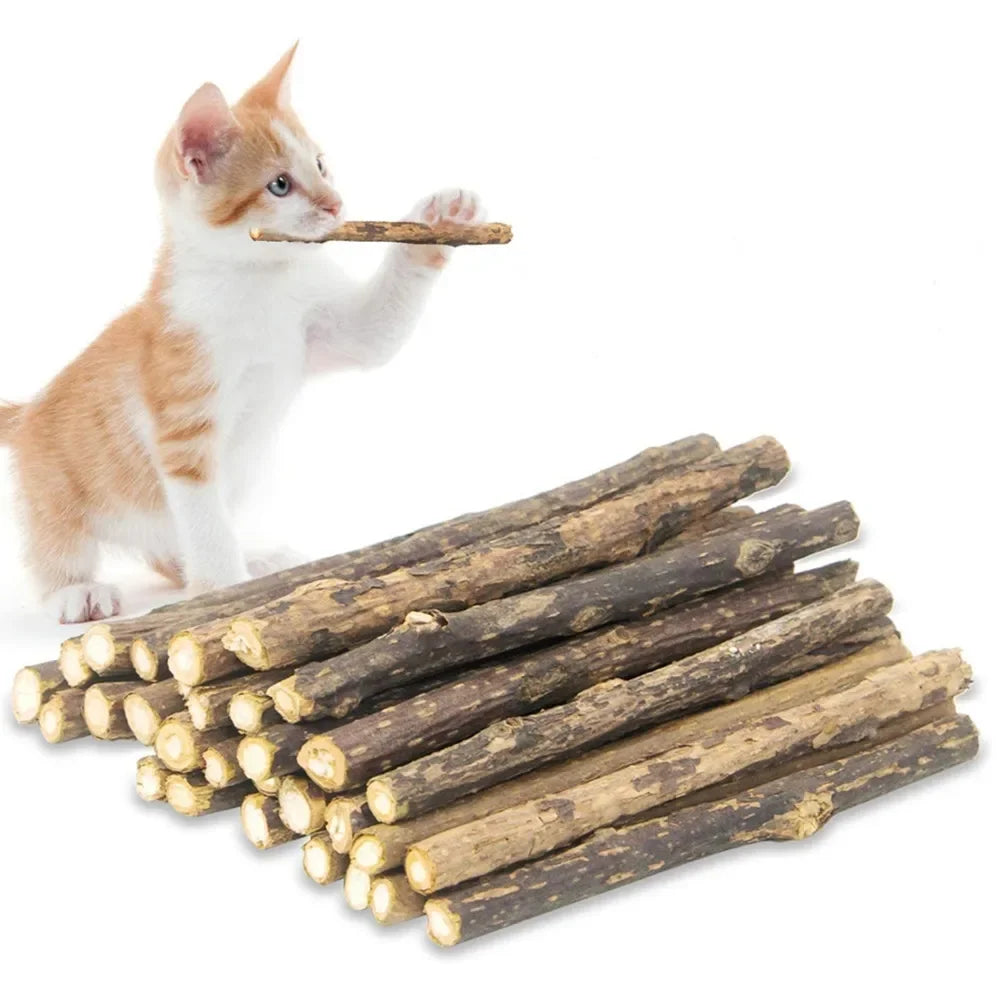 Bundle of natural silvervine chew sticks for cats