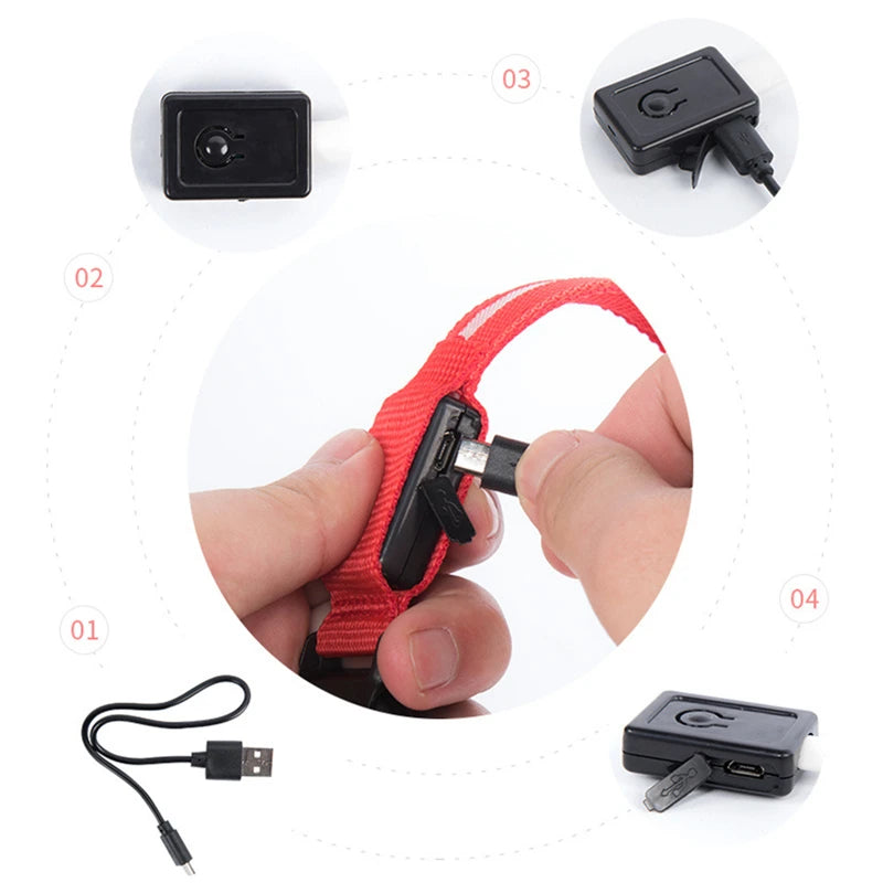 LED Light-Up Dog Collar, USB or Battery Powered