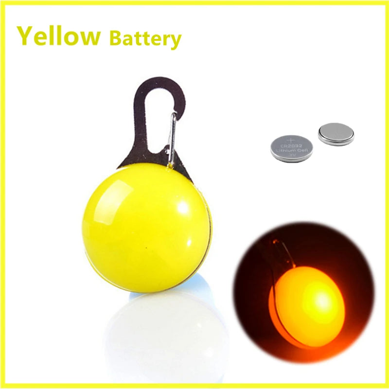 LED Light-Up Dog Collar, USB or Battery Powered