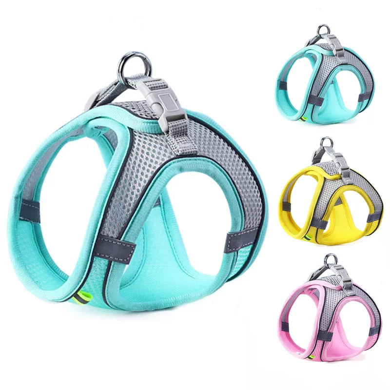 Cat wearing a reflective mesh harness with lead
