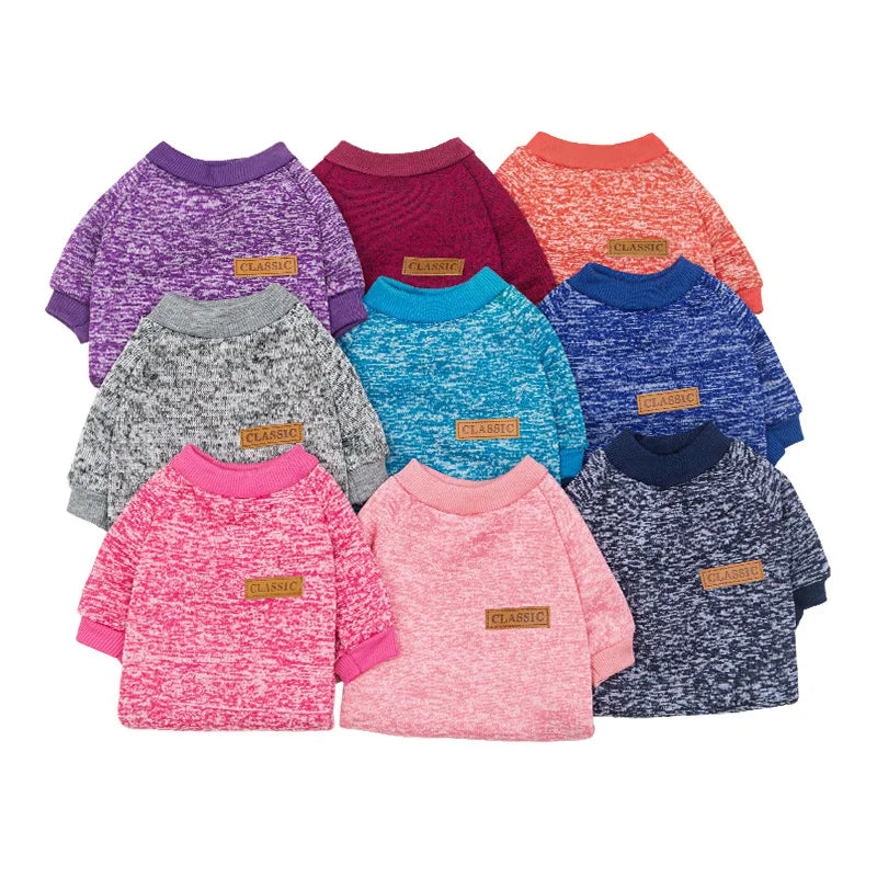 Small dog wearing a soft knitted round neck jumper – photo 12