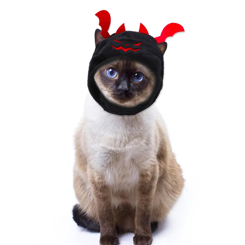 Halloween Bat Hat for Cats & Small Dogs