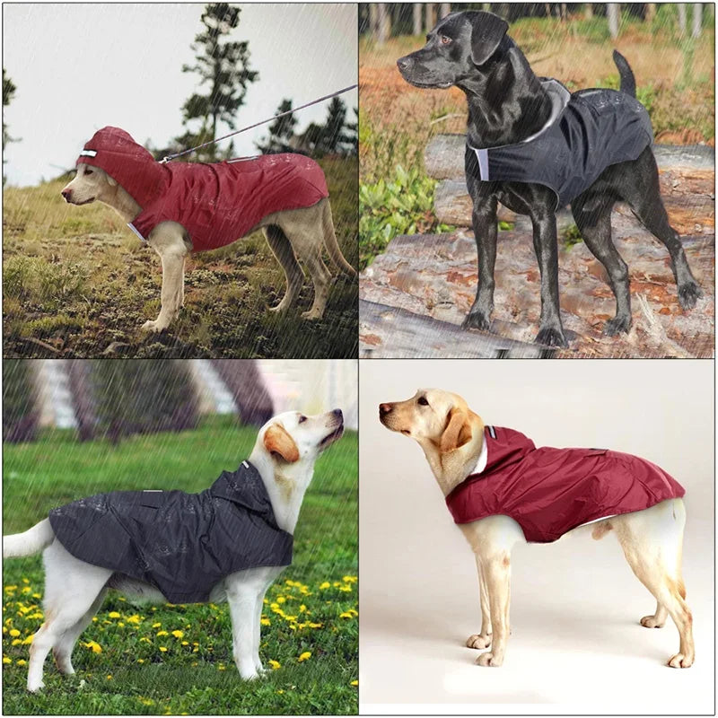 Dog wearing a reflective hooded raincoat on a rainy walk – photo 3