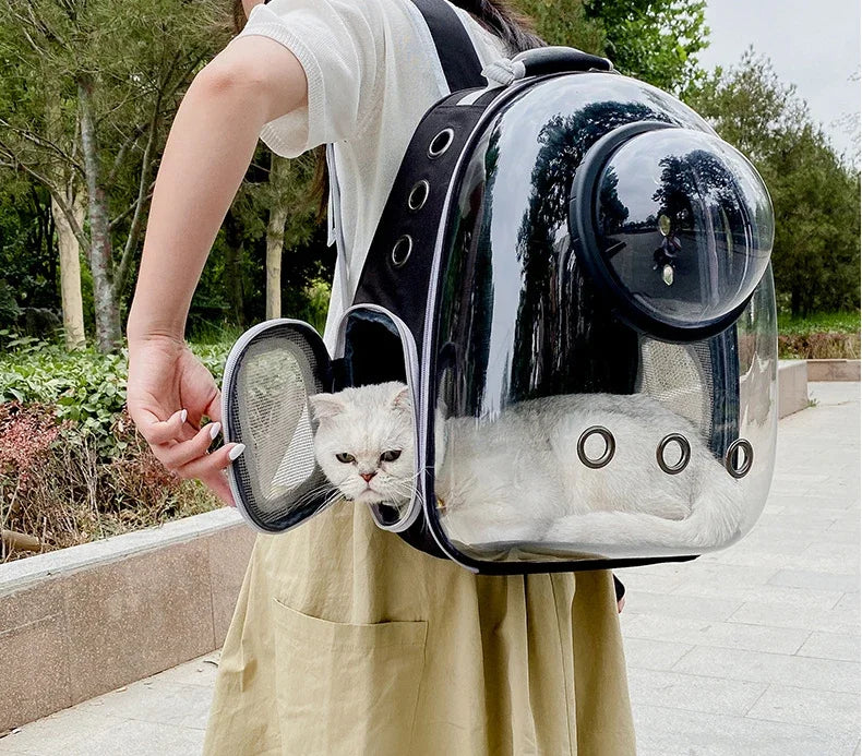 Clear Bubble Pet Carrier Backpack for Cats