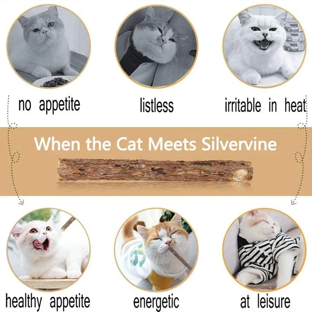 Bundle of natural silvervine chew sticks for cats – photo 5