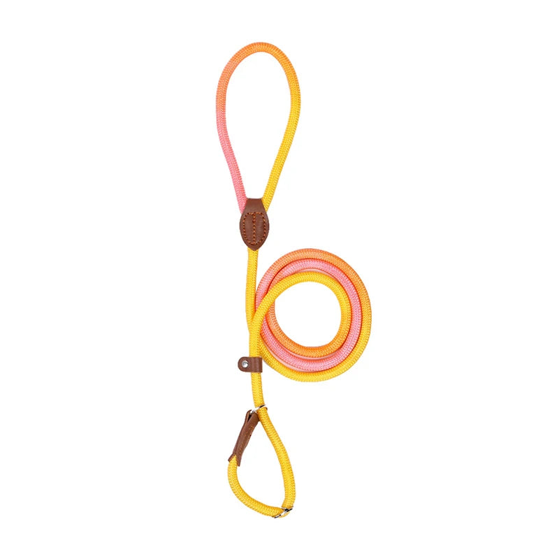 Braided Slip Lead for Dogs