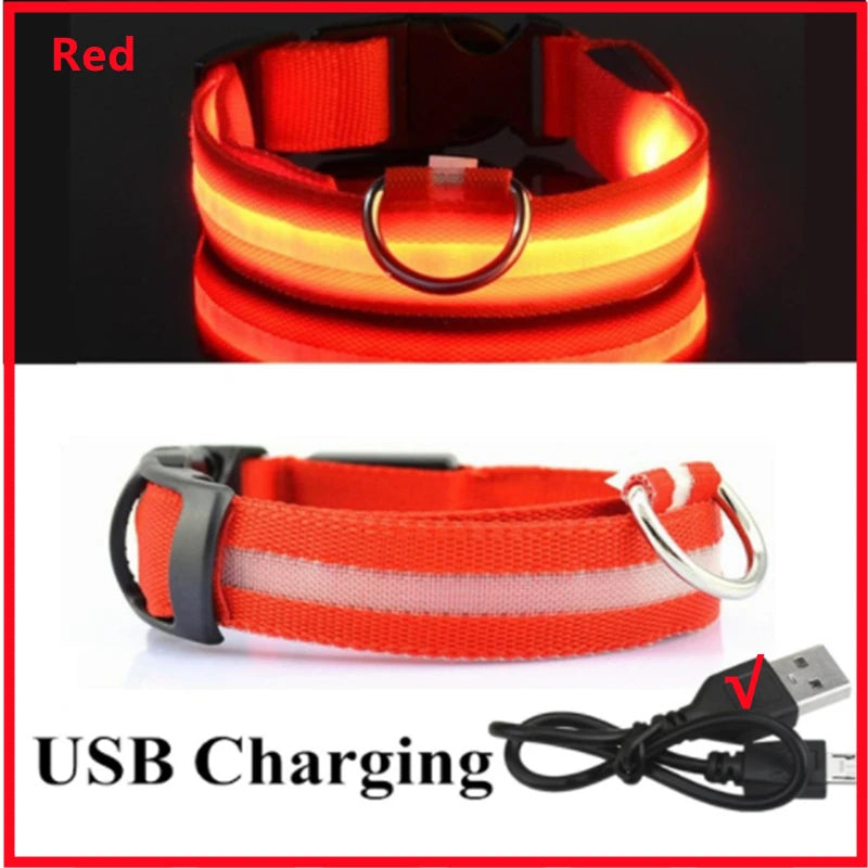 LED Light-Up Dog Collar, USB or Battery Powered