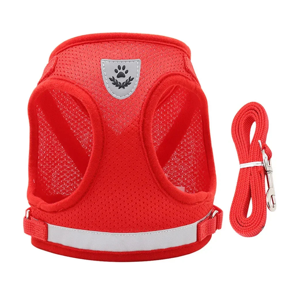 Reflective Mesh Harness & Lead Set for Cats