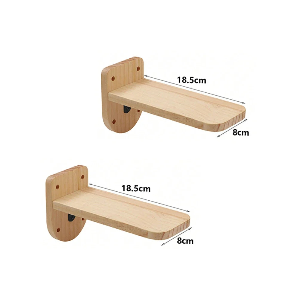 Wall-Mounted Cat Shelves, Steps & Hammocks