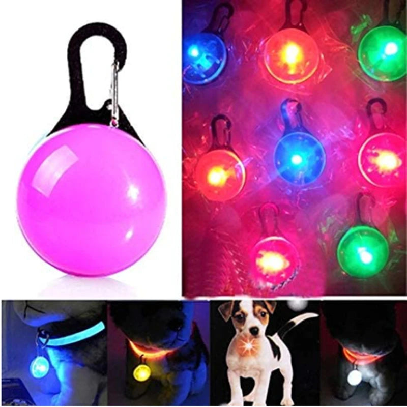 LED Light-Up Dog Collar, USB or Battery Powered