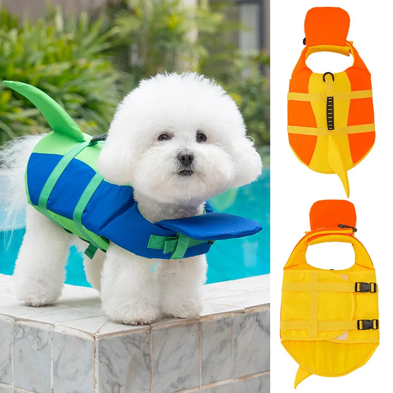 Dog wearing a bright adjustable life jacket for swimming