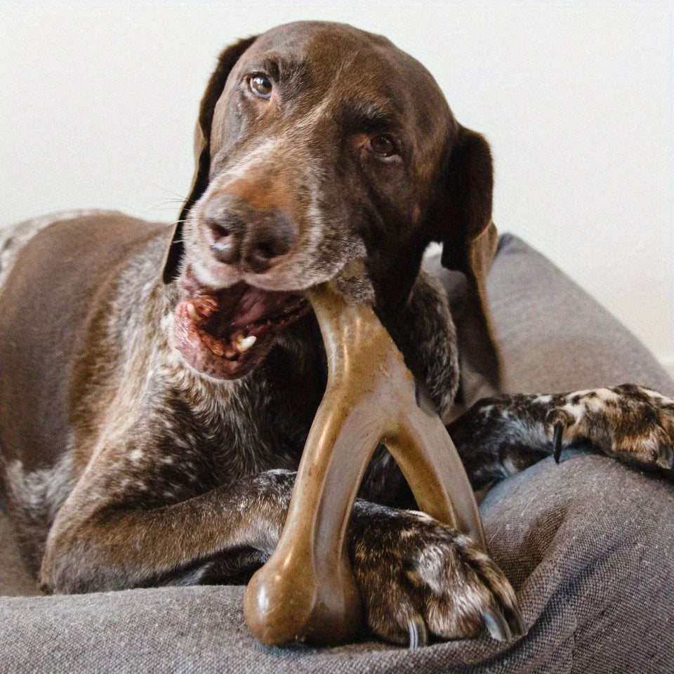 Brown bone-shaped chew toy for medium and large dogs – photo 4
