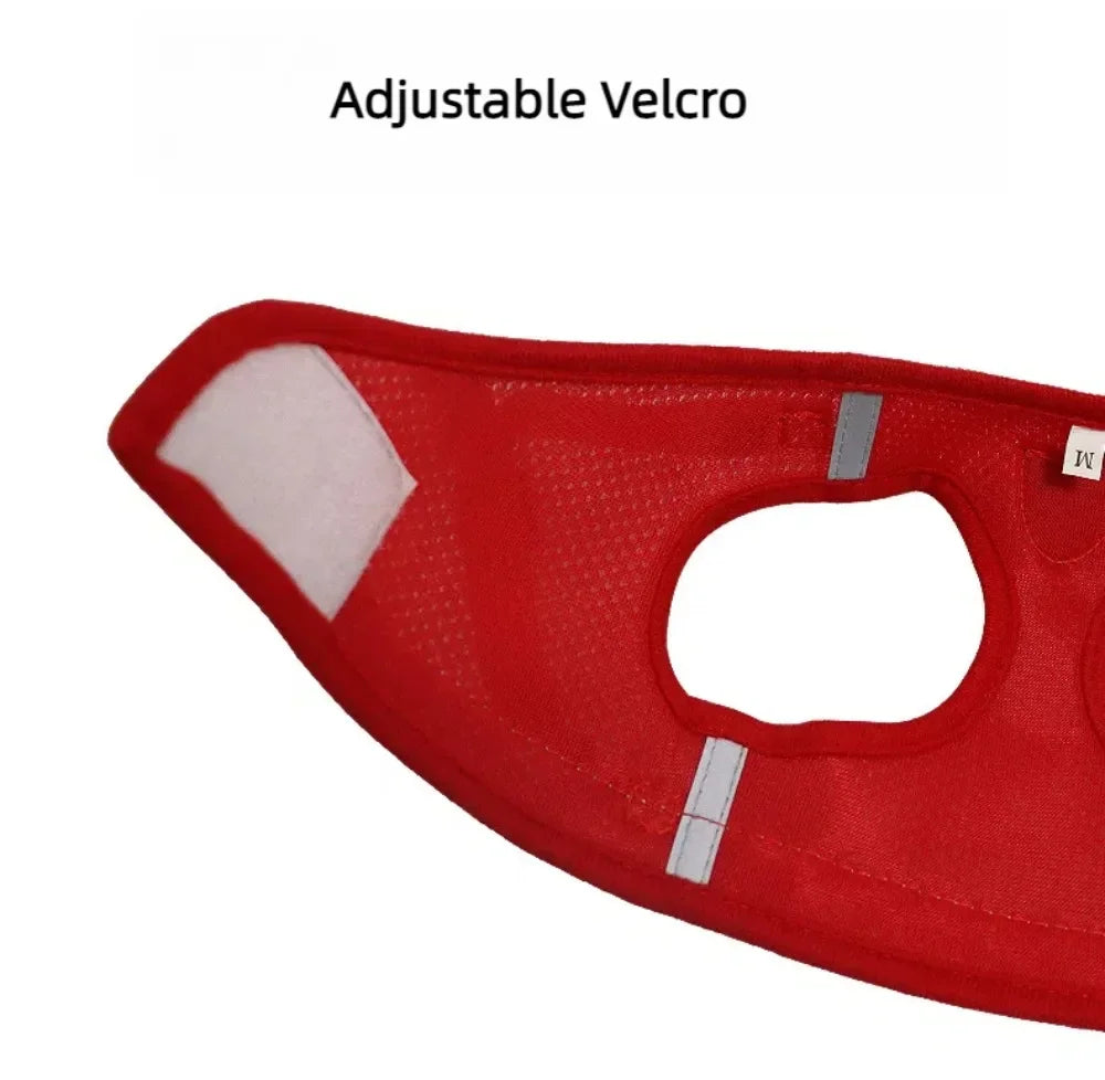Reflective Mesh Harness & Lead Set for Cats