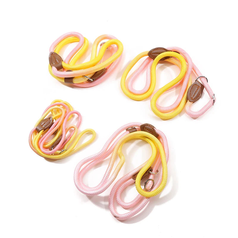 Braided Slip Lead for Dogs
