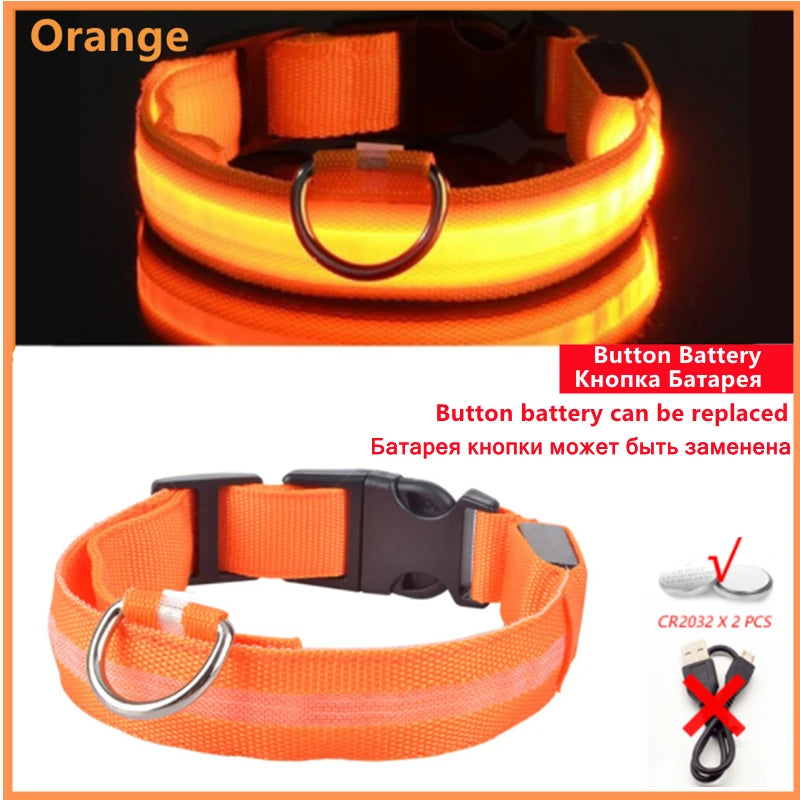 LED Light-Up Dog Collar, USB or Battery Powered