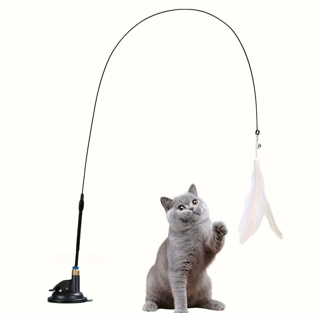 Cat playing with a feather and bell teaser wand on a suction cup