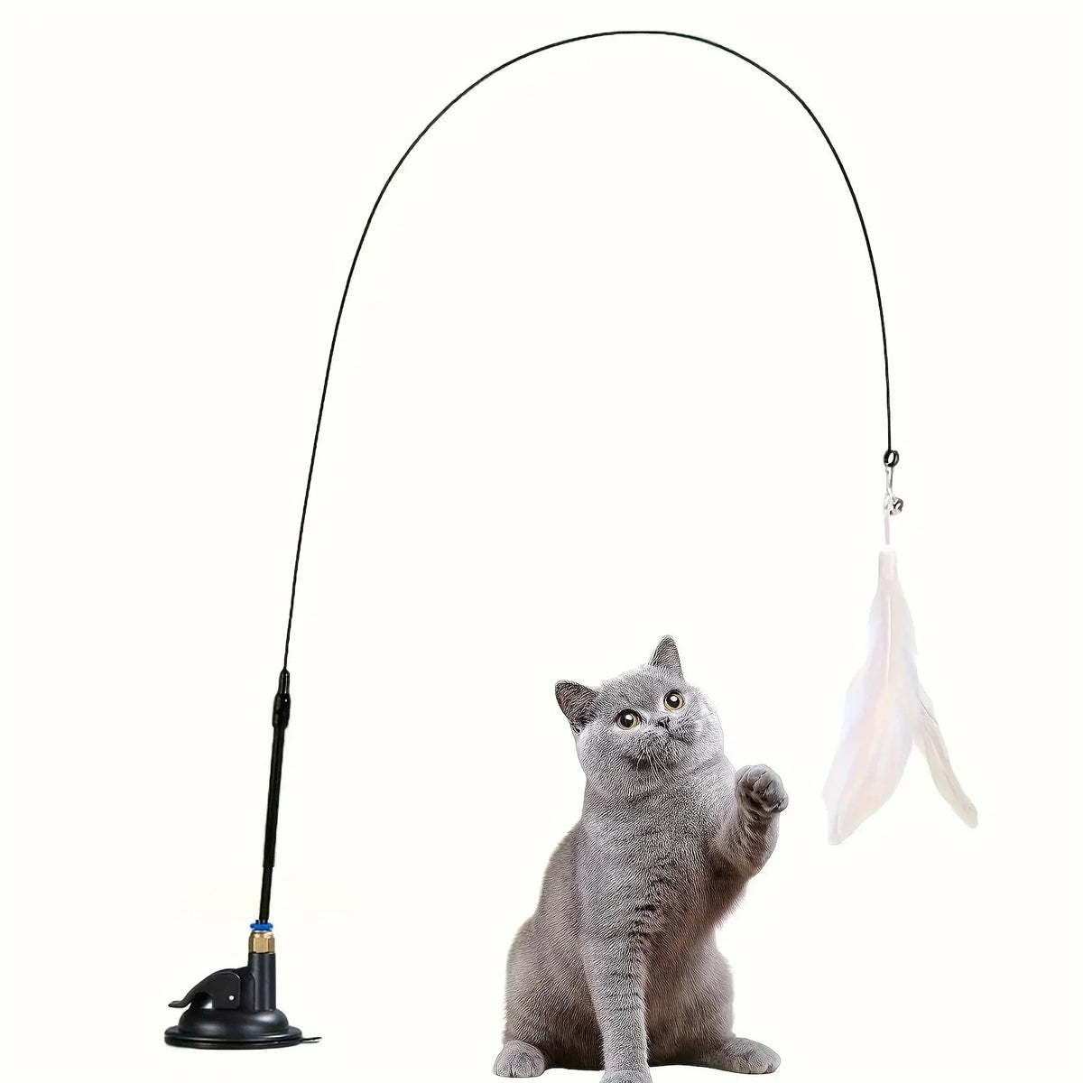 Cat playing with a feather and bell teaser wand on a suction cup