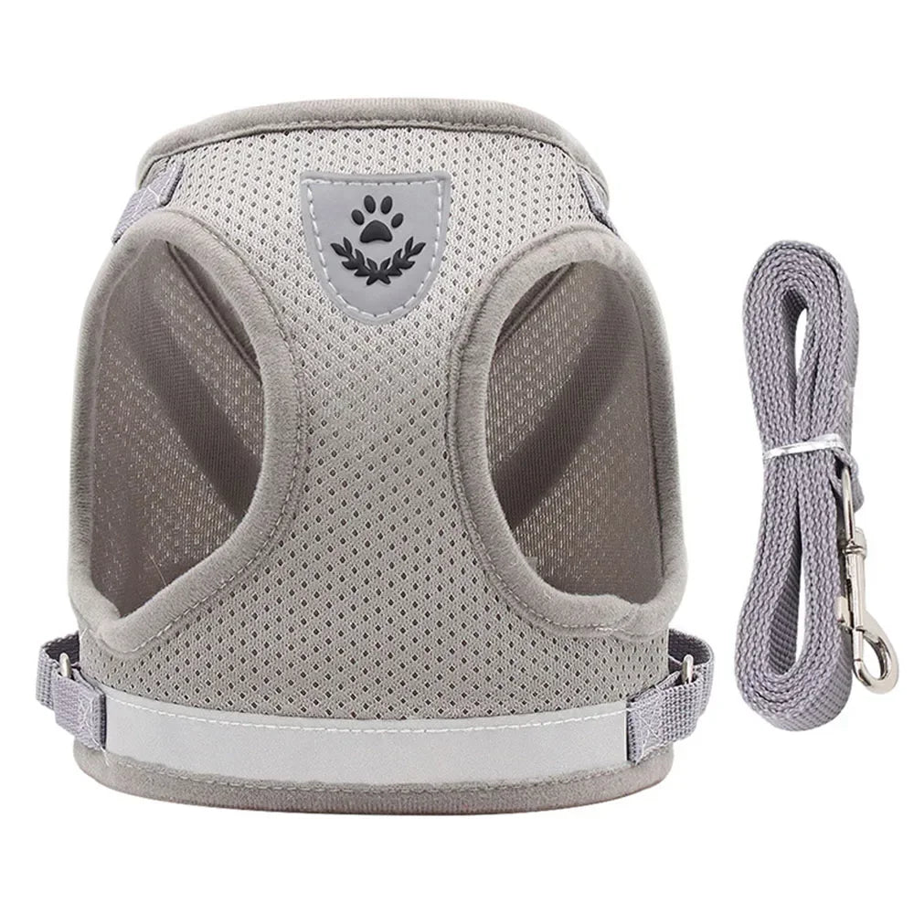 Reflective Mesh Harness & Lead Set for Cats