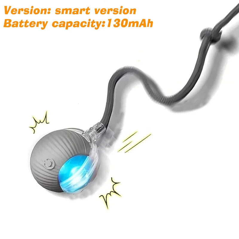 Rechargeable Rolling Ball Toy for Dogs