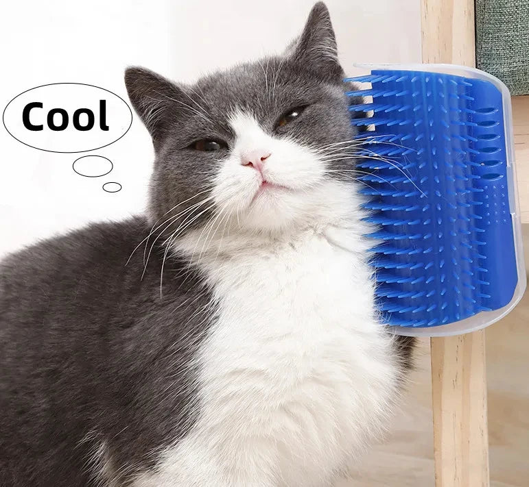 Cat rubbing against a corner self-grooming brush – photo 11