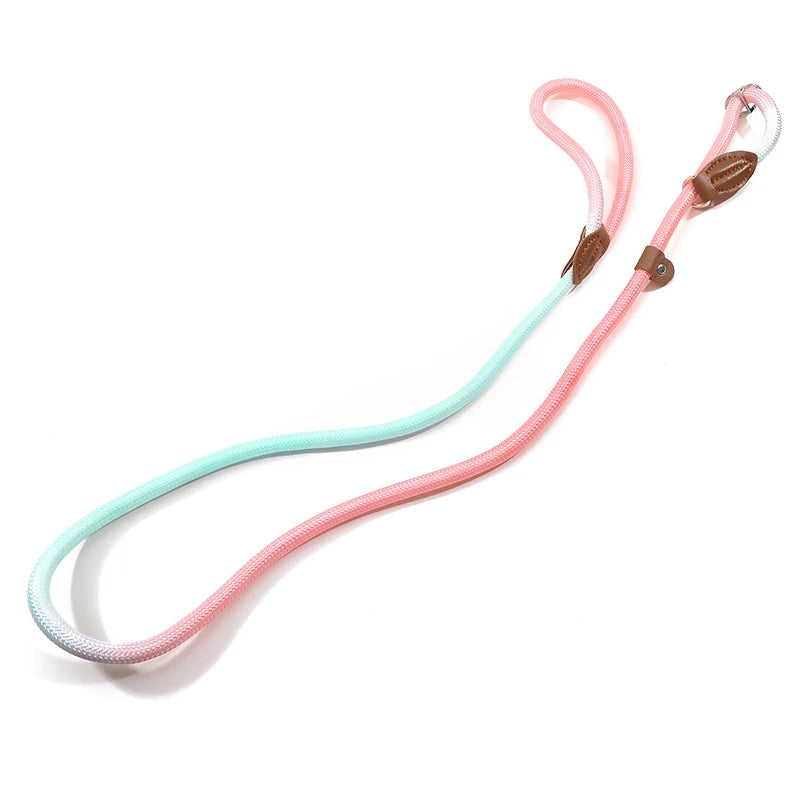 Braided Slip Lead for Dogs