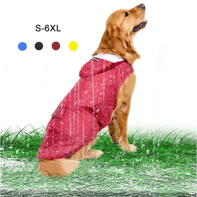 Dog wearing a reflective hooded raincoat on a rainy walk