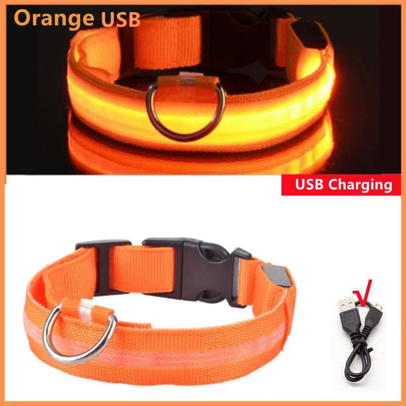 LED Light-Up Dog Collar, USB or Battery Powered