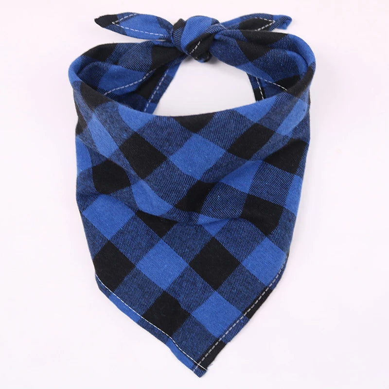 Dog wearing a plaid cotton bandana – photo 7