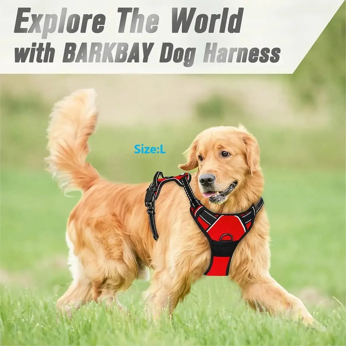 Colourful vest dog harness – photo 3