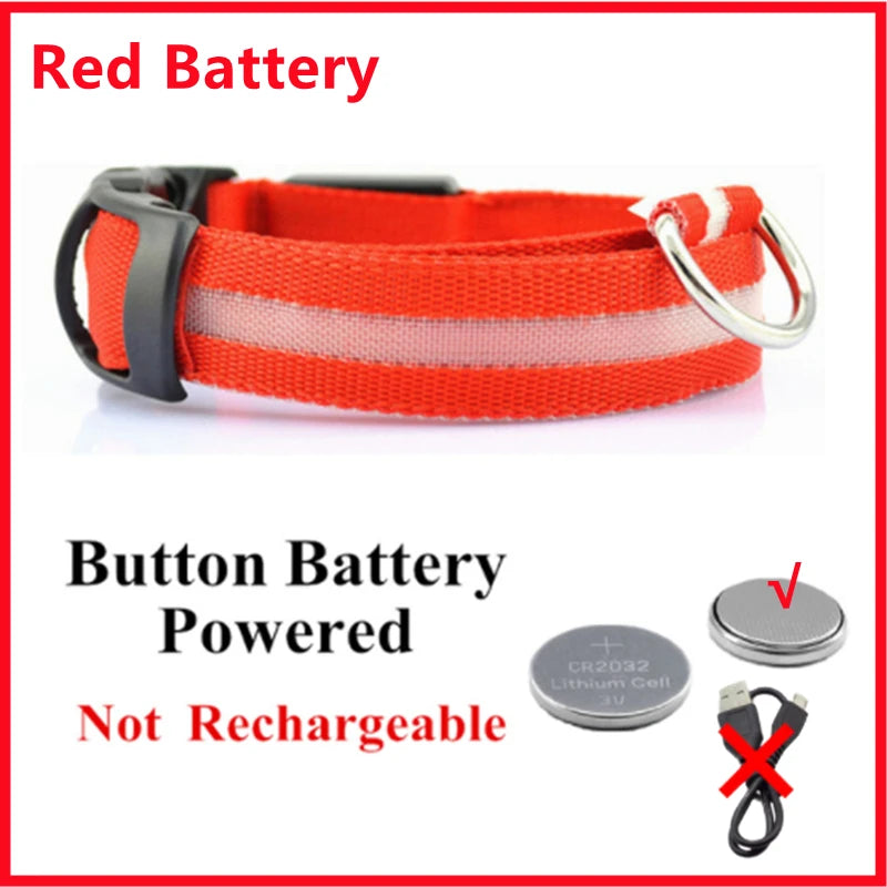 LED Light-Up Dog Collar, USB or Battery Powered