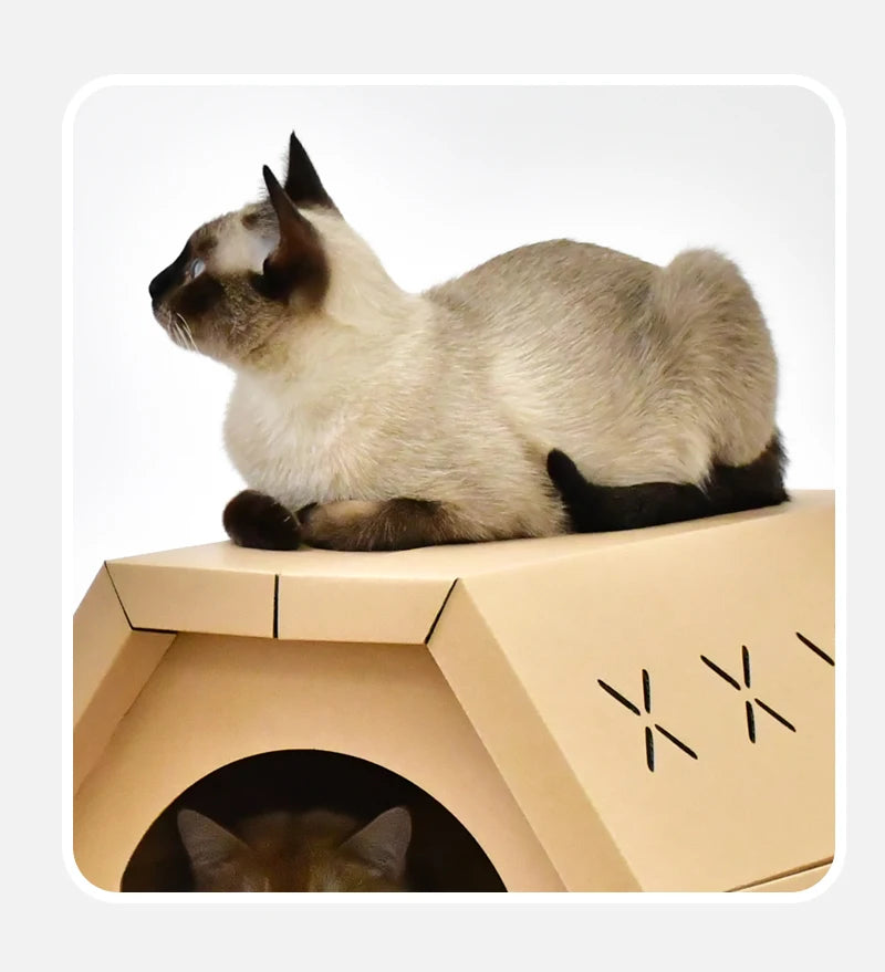 Cardboard cat scratcher house with scratch pads – photo 9