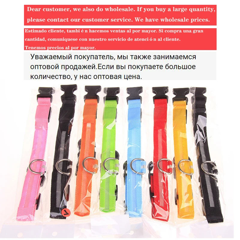 LED Light-Up Dog Collar, USB or Battery Powered