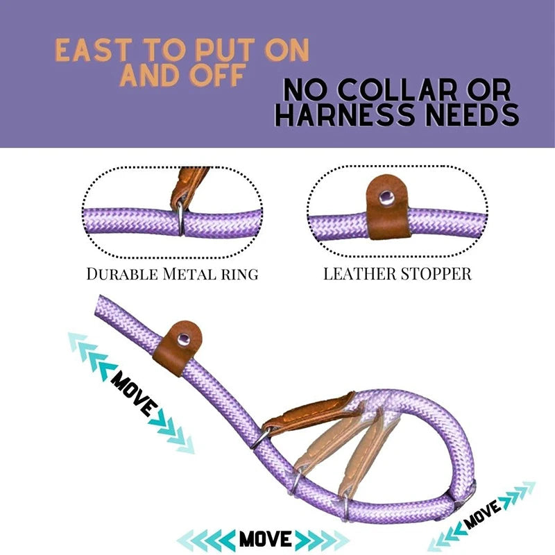 Braided two-tone nylon slip lead for dogs – photo 6