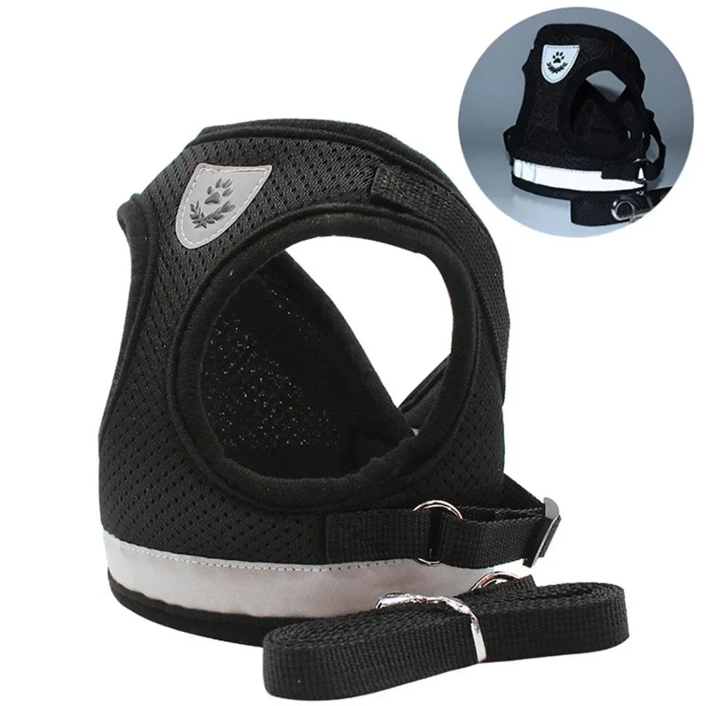 Reflective Mesh Harness & Lead Set for Cats
