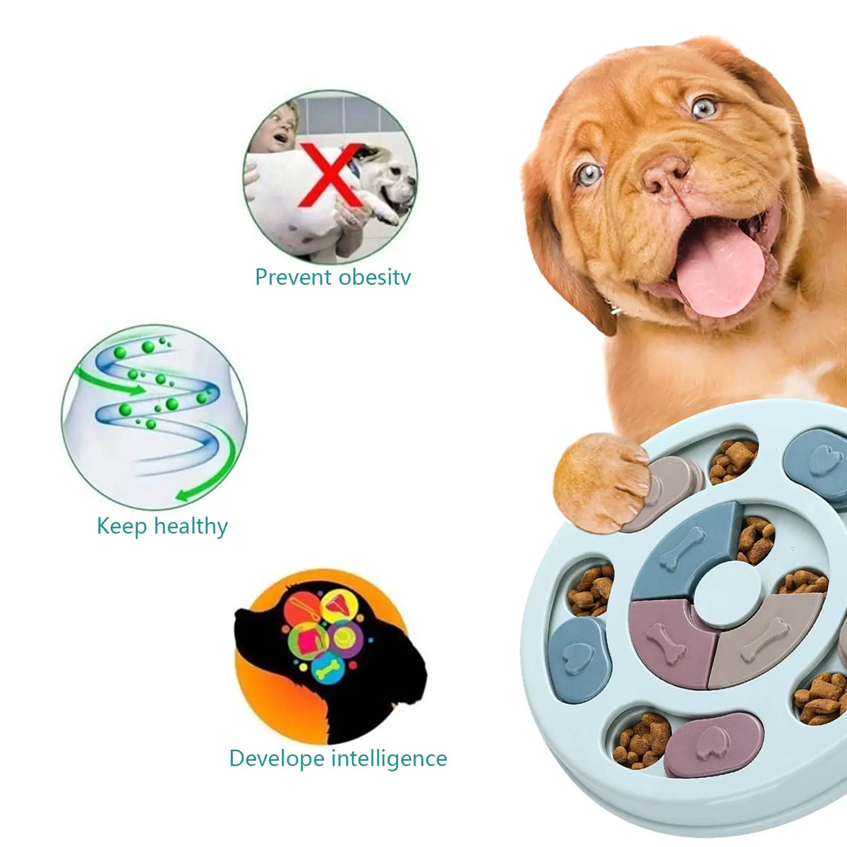 Sliding Treat Puzzle for Dogs – photo 4