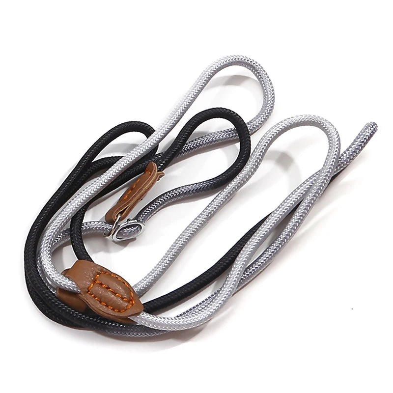 Braided Slip Lead for Dogs