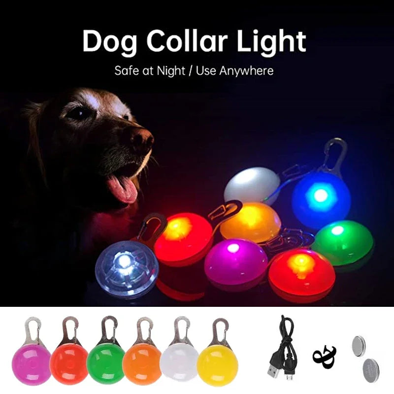 LED light clipped to a dog collar