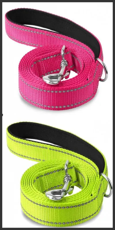 Reflective Lead for Dogs & Cats