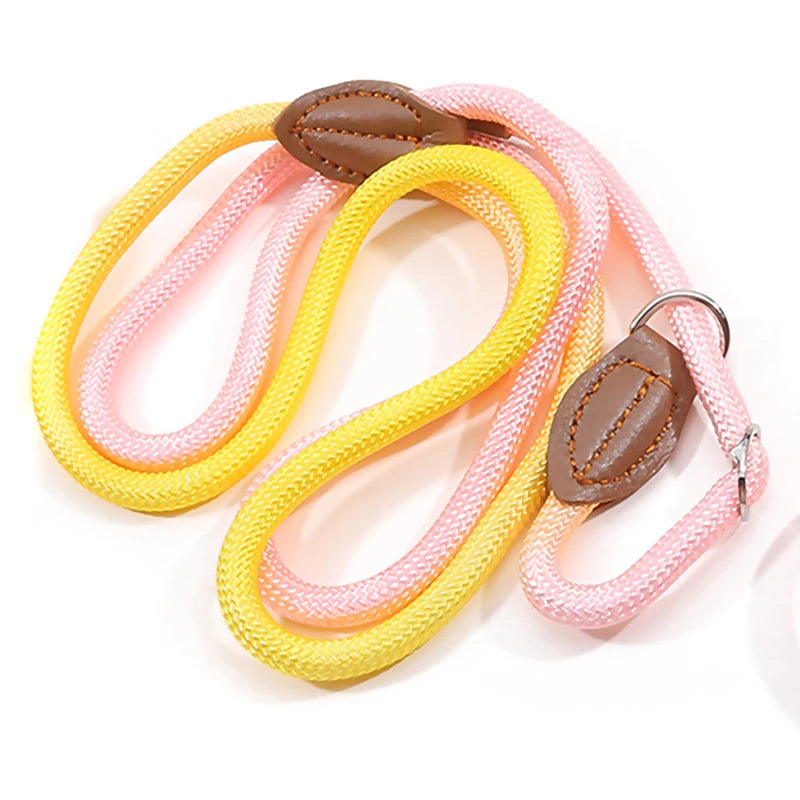 Braided Slip Lead for Dogs
