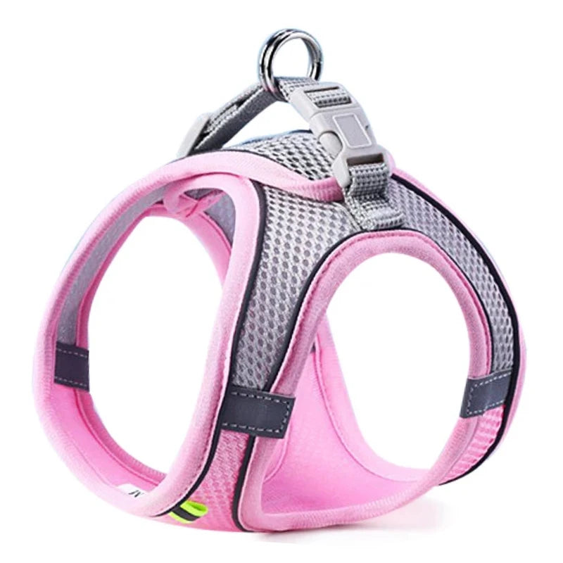 Reflective Mesh Harness & Lead Set for Cats & Small Dogs
