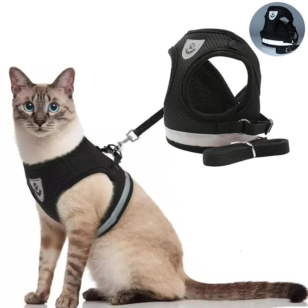 Cat wearing a reflective mesh harness with lead