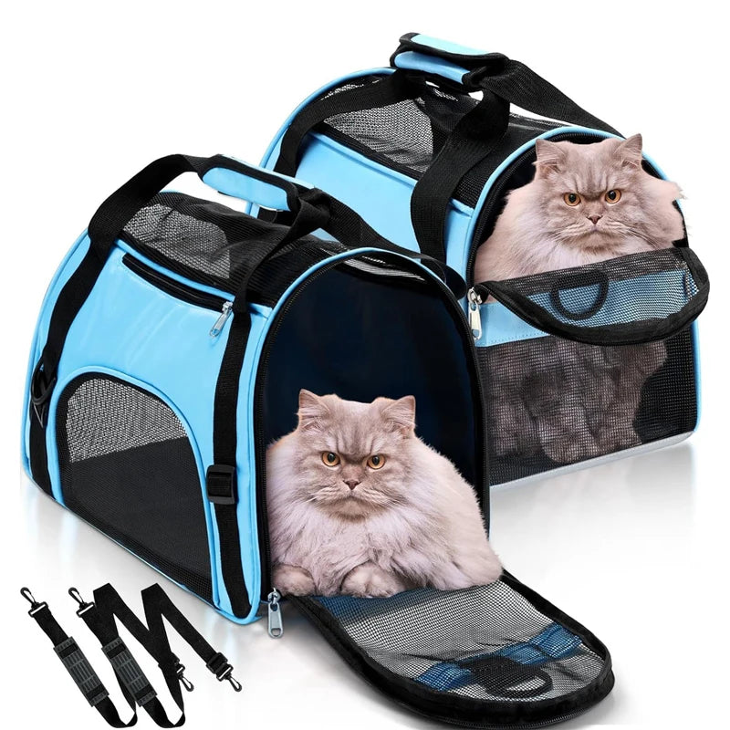 Soft foldable mesh pet carrier bag