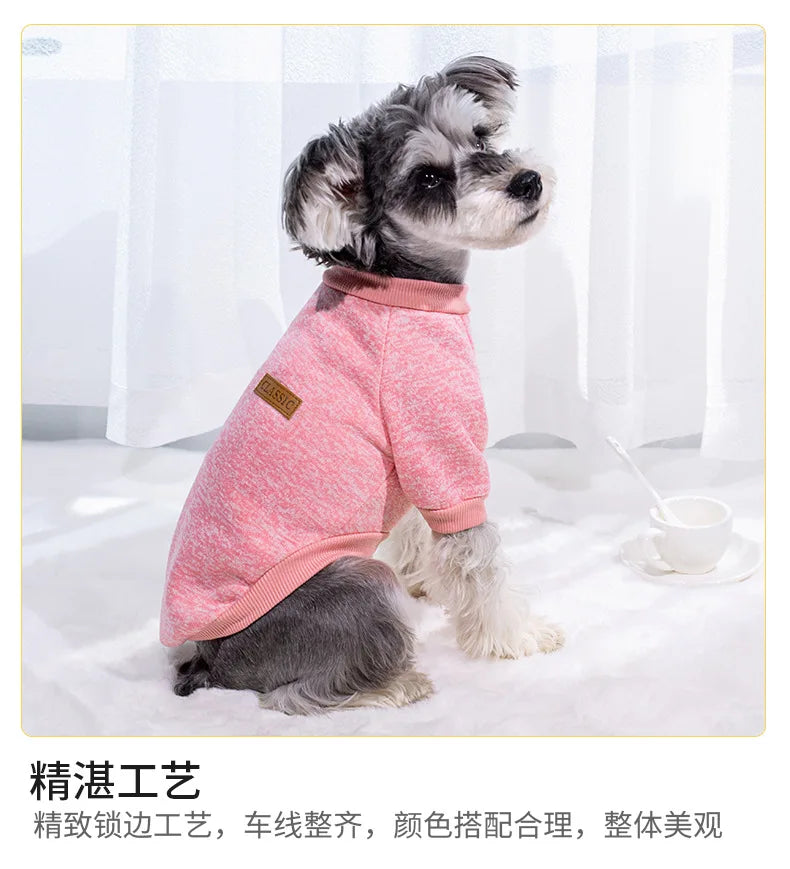 Small dog wearing a soft knitted round neck jumper – photo 10